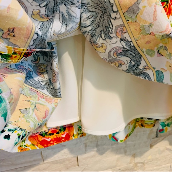 Antonio Melani NWT Mary Poplin A-Line Skirt $149 - Picture 5 of 11